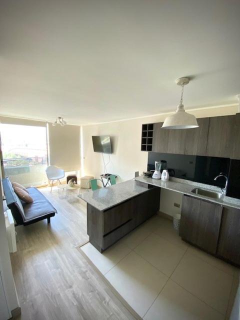 Loica Chile Apartment ซานติอาโก ภายนอก รูปภาพ