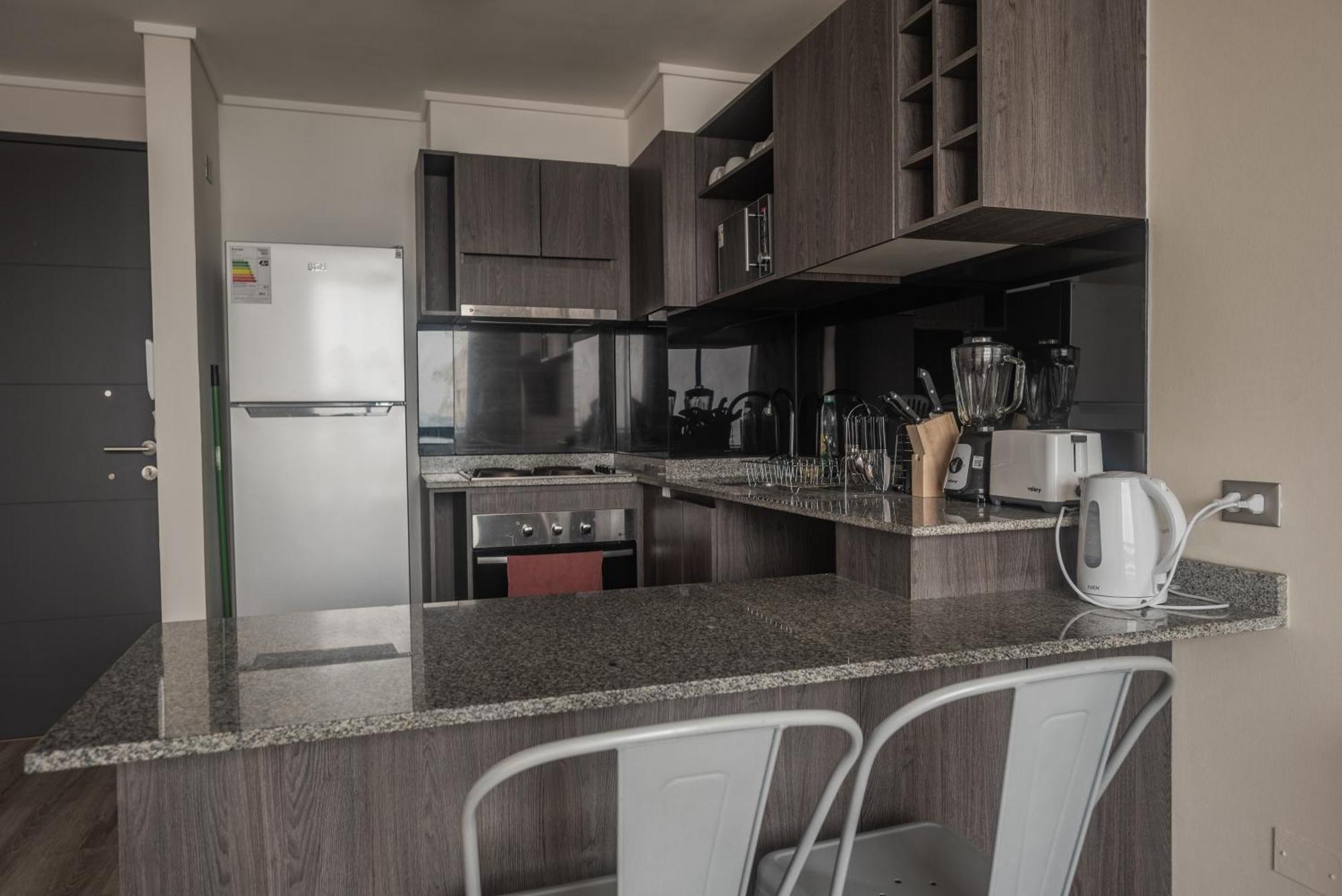 Loica Chile Apartment ซานติอาโก ภายนอก รูปภาพ